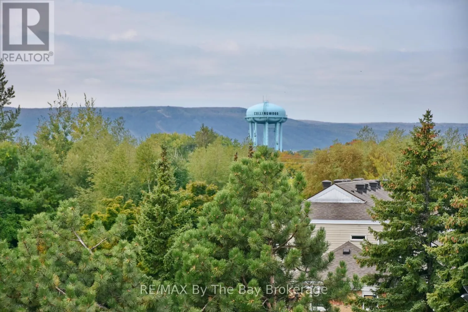 409 - 91 RAGLAN STREET, #409