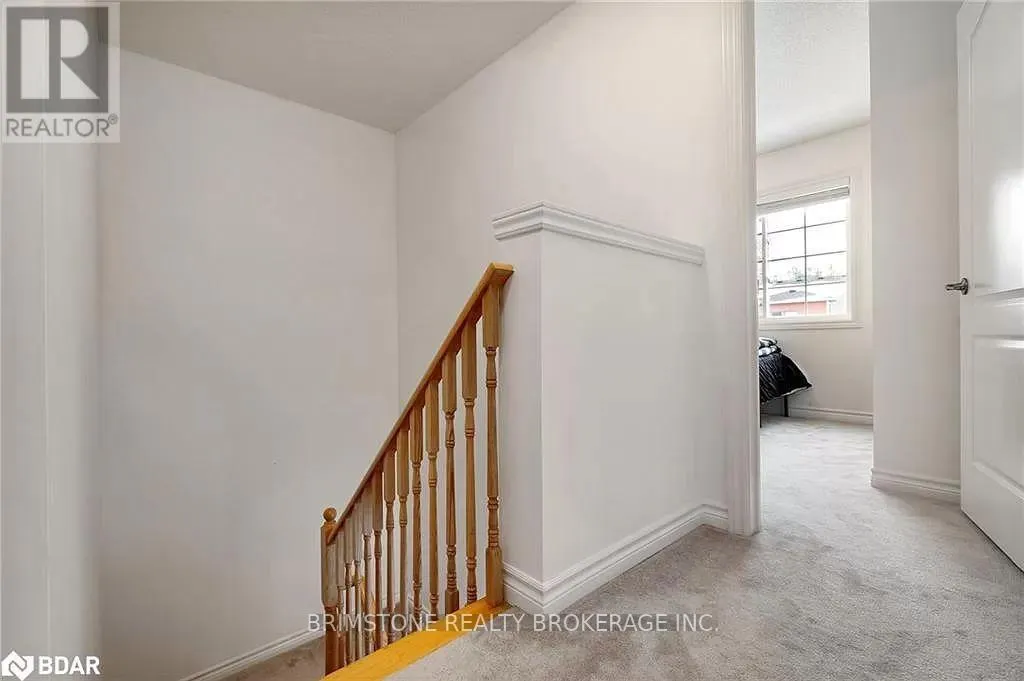 46 ANDEAN LANE