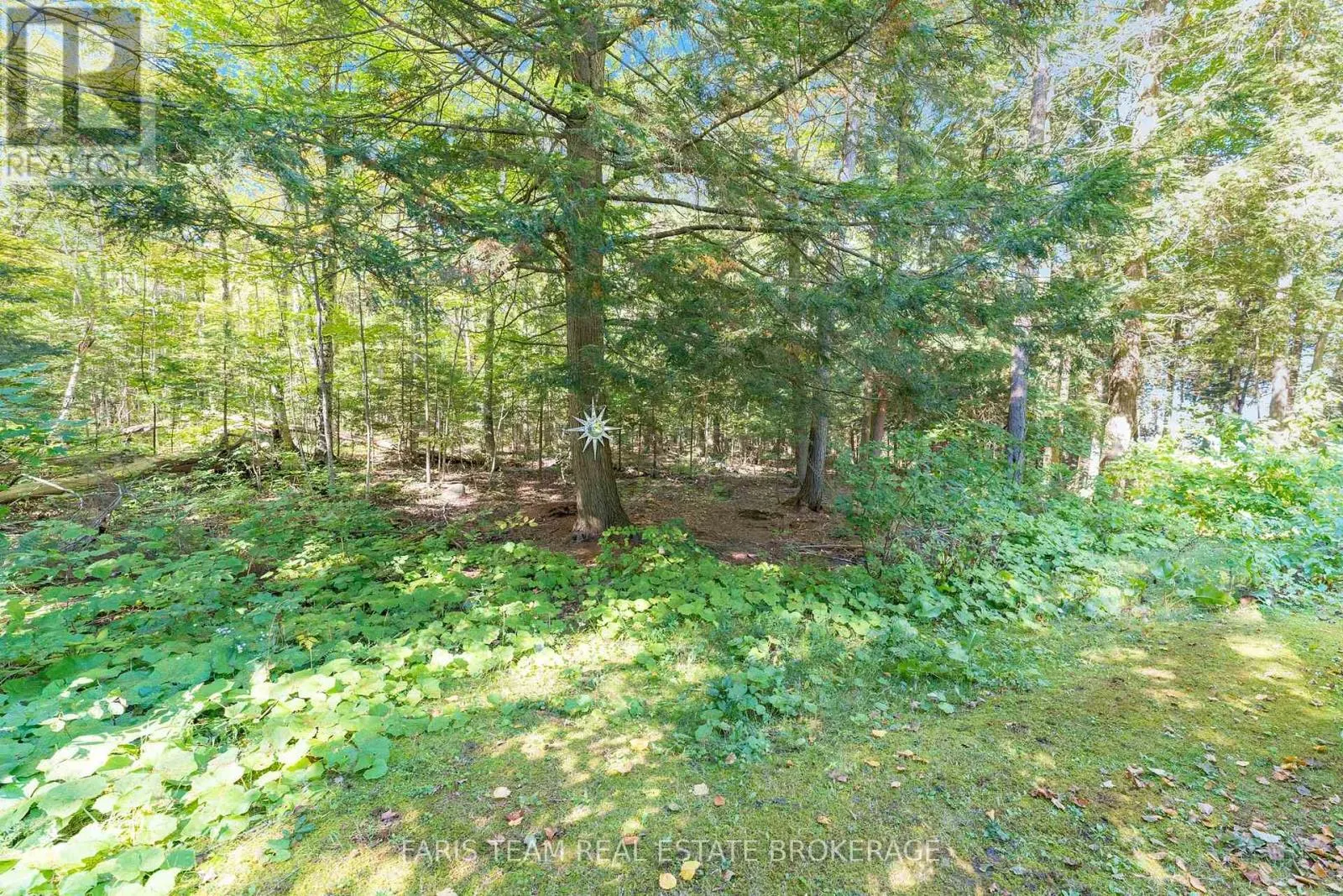 43 MANITOU CRESCENT