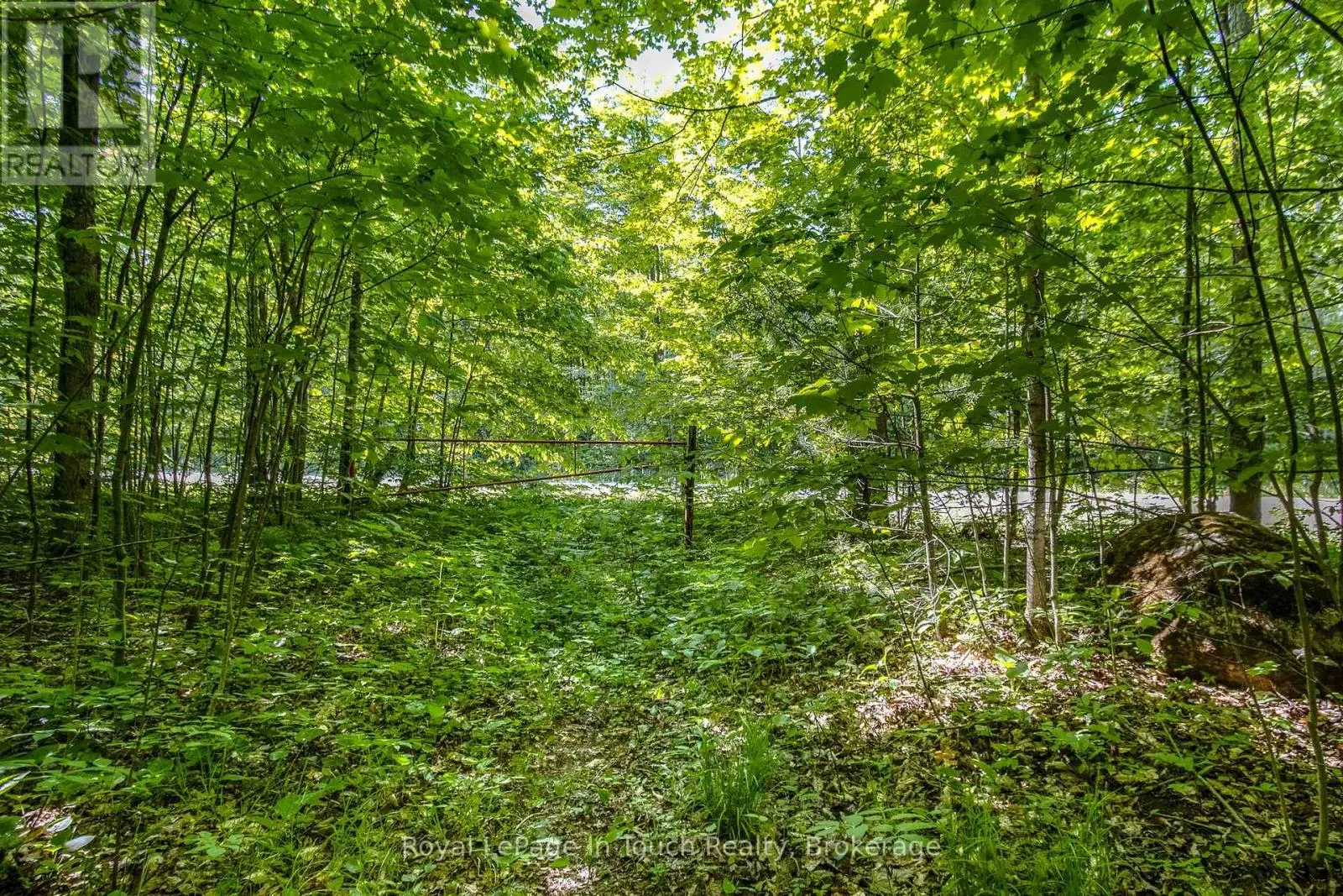 LOT 23 CONCESSION 17 ROAD W