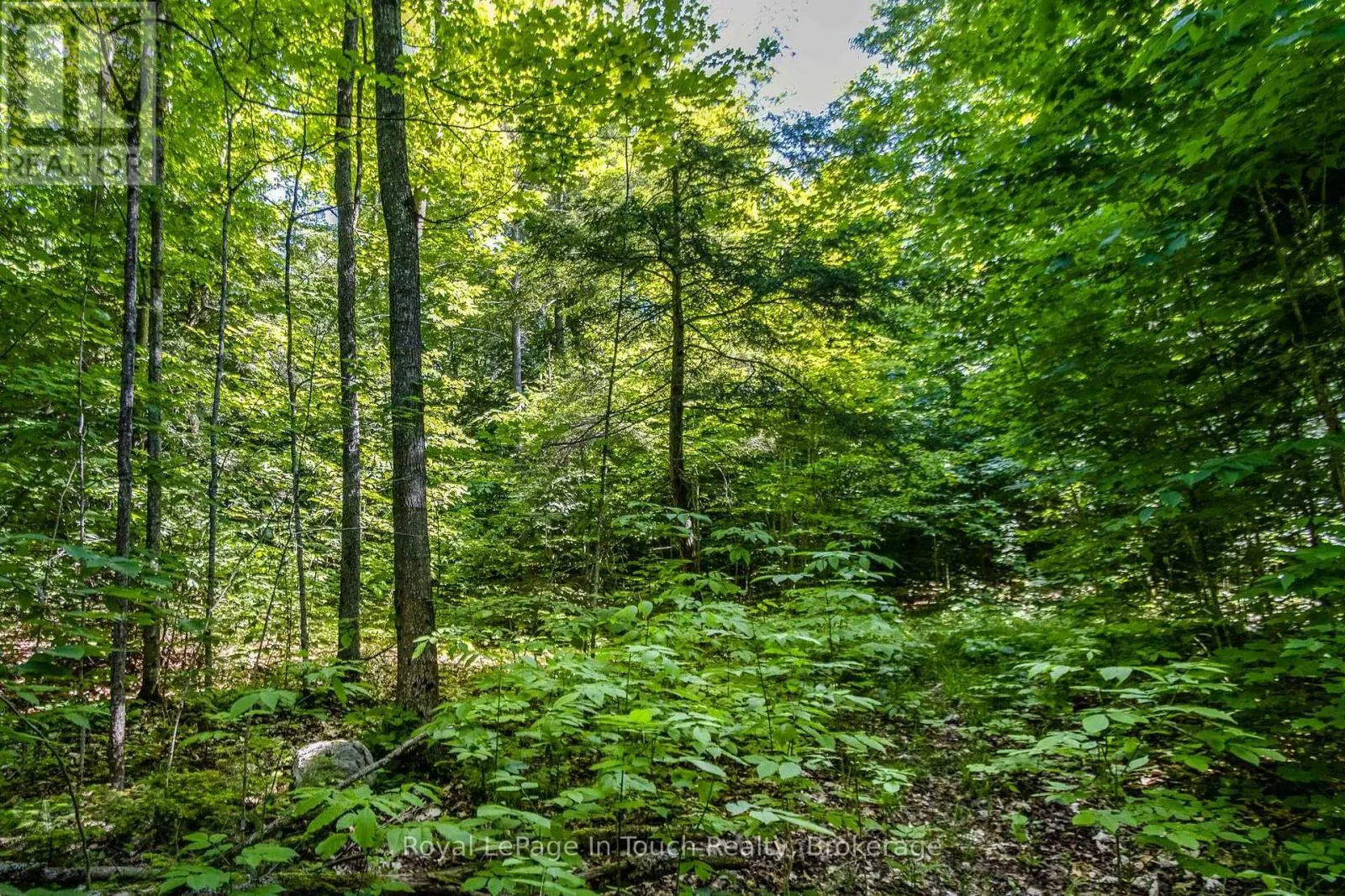 LOT 23 CONCESSION 17 ROAD W