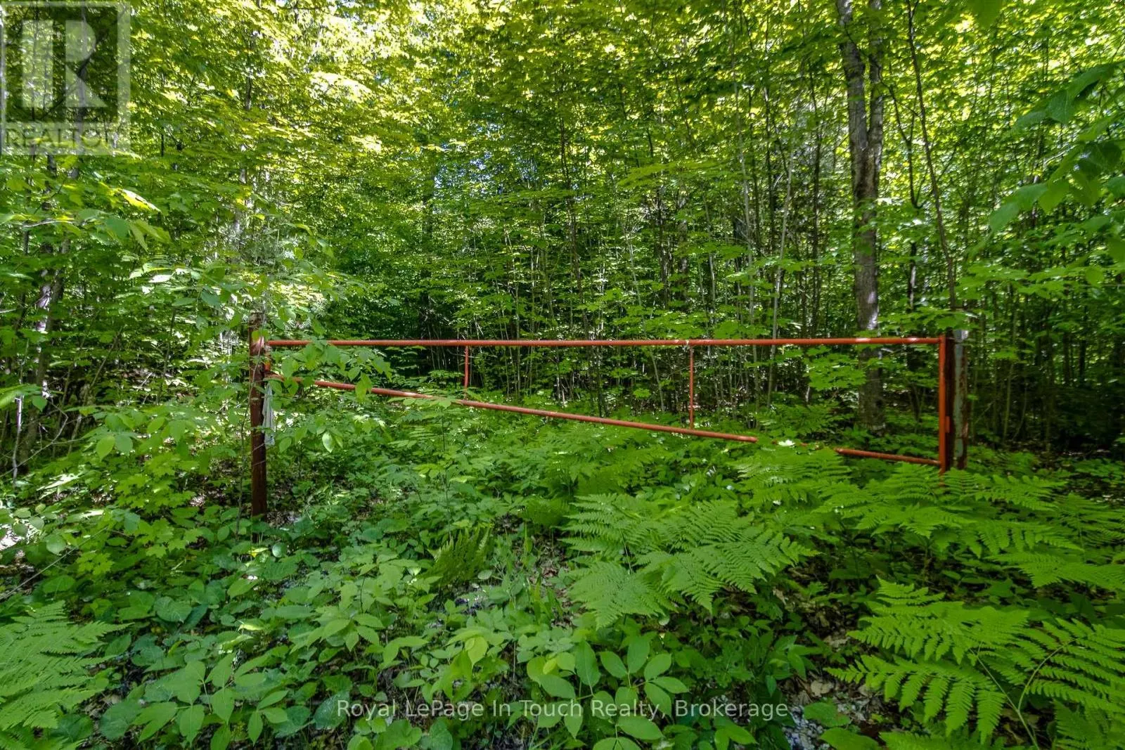 LOT 23 CONCESSION 17 ROAD W