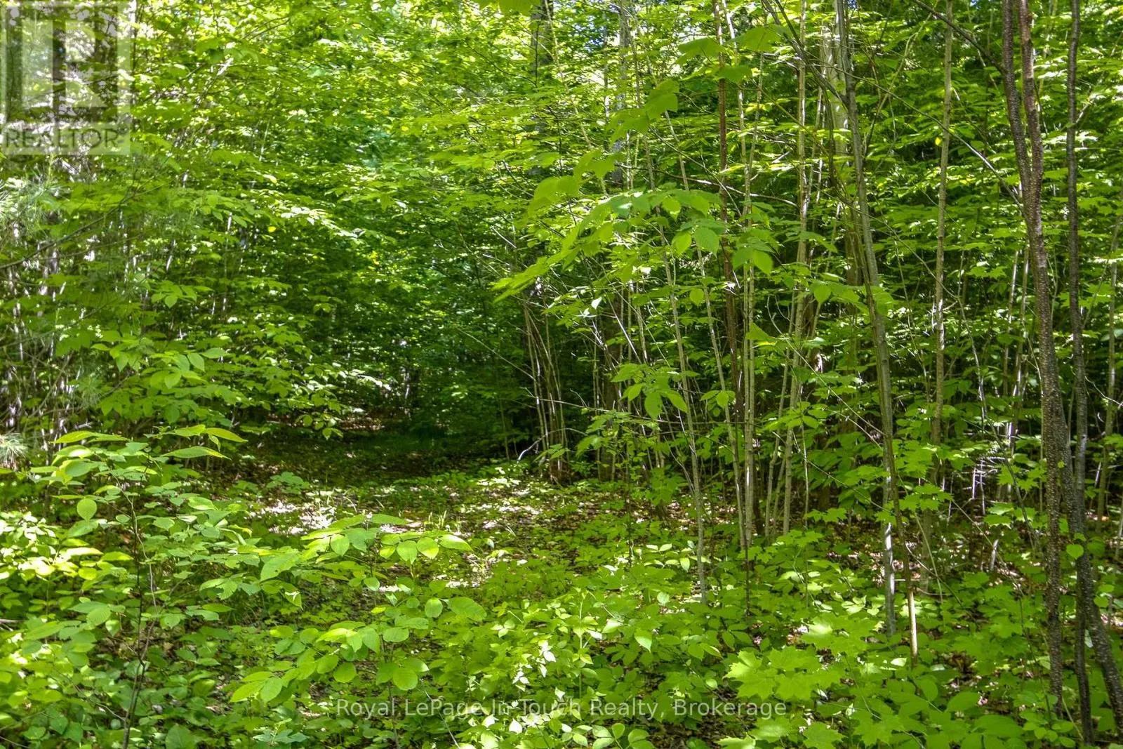 LOT 23 CONCESSION 17 ROAD W