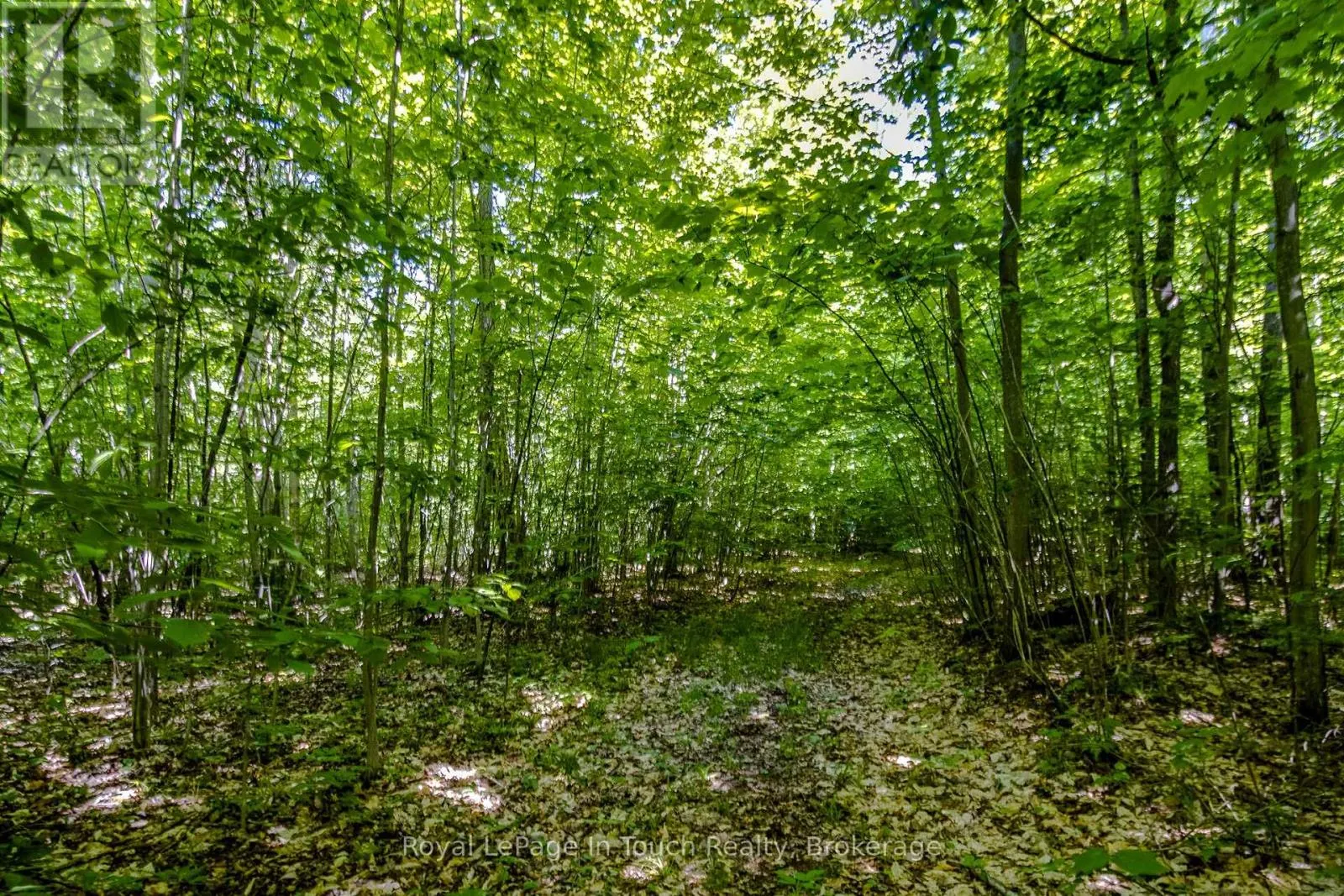 LOT 23 CONCESSION 17 ROAD W