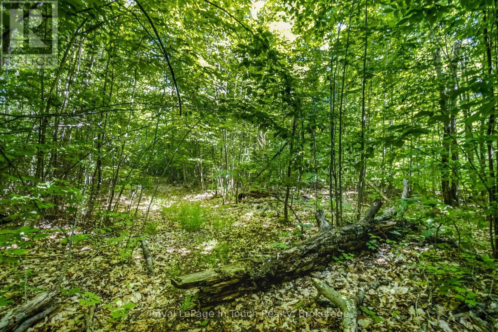 LOT 23 CONCESSION 17 ROAD W