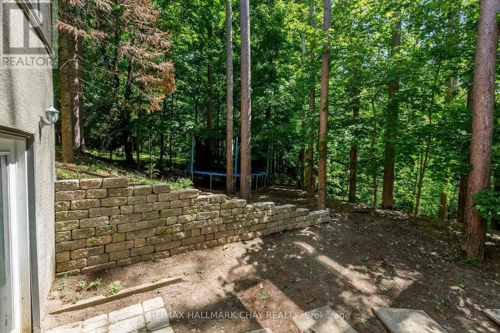 1 PINE SPRING