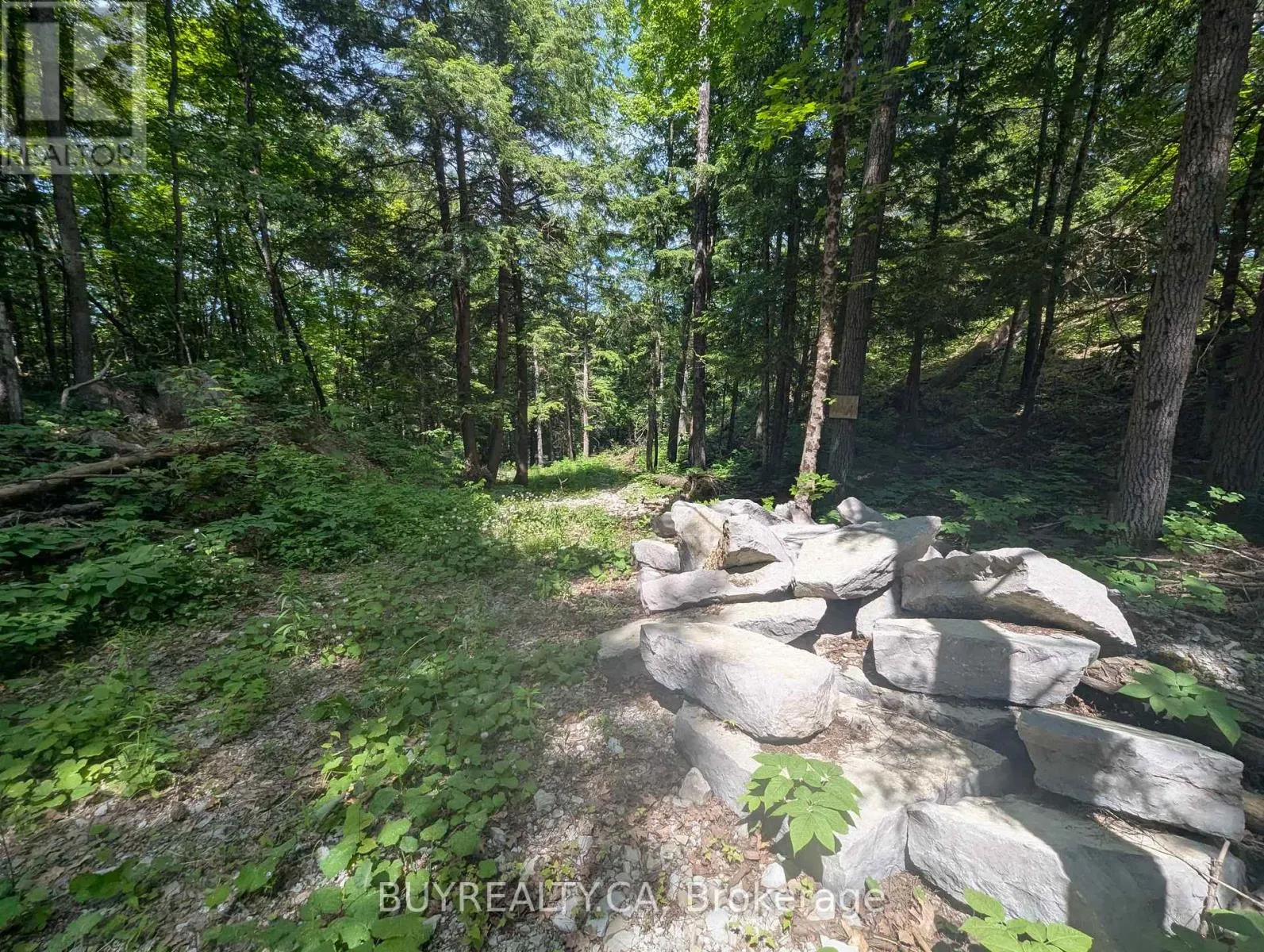 2318 SHERWOOD FOREST LANE