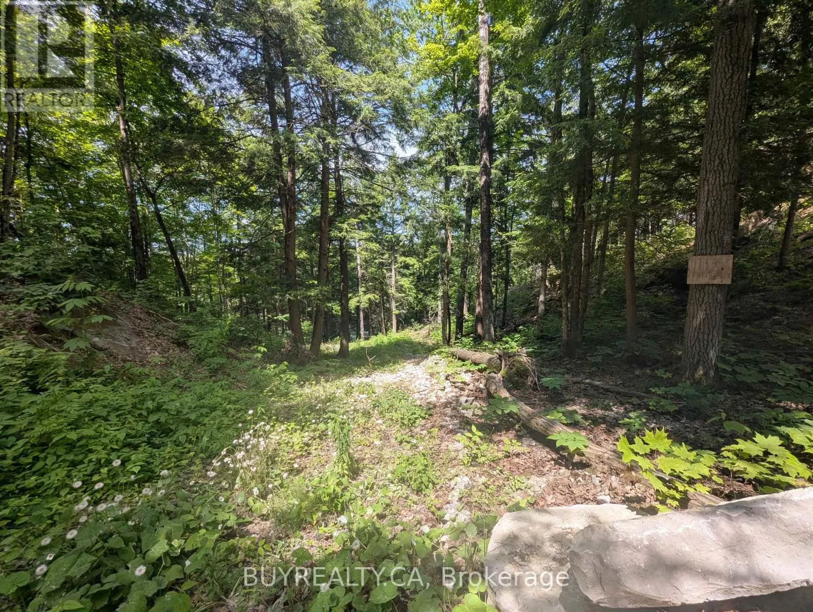 2318 SHERWOOD FOREST LANE