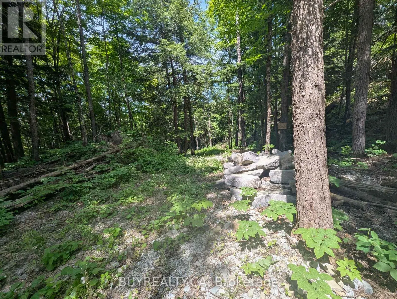 2318 SHERWOOD FOREST LANE
