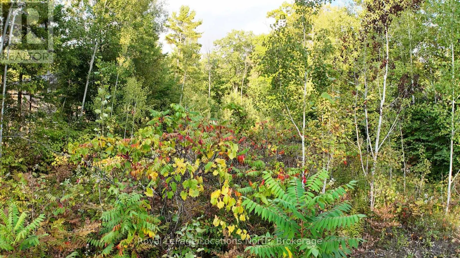 LOT 17 RONALD AVENUE