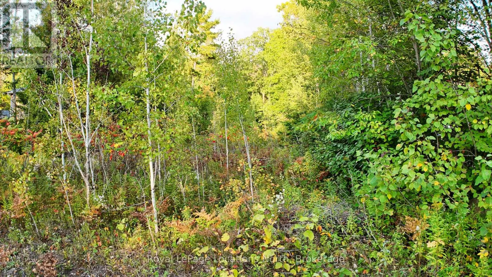 LOT 17 RONALD AVENUE