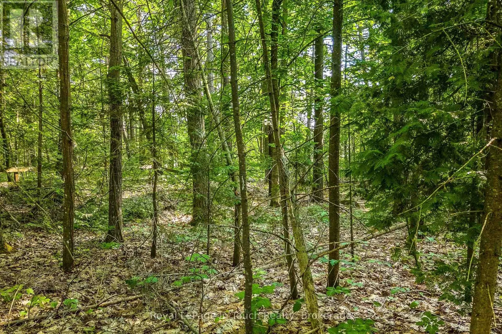 LOT 47 TROUT LANE