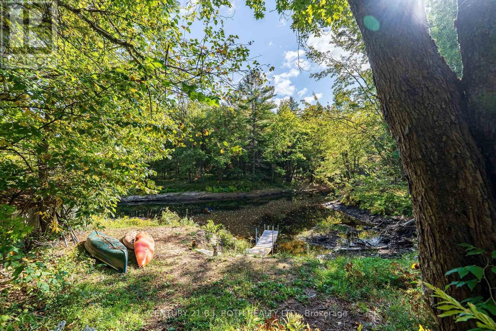 8101 KINGS RIVER ROAD