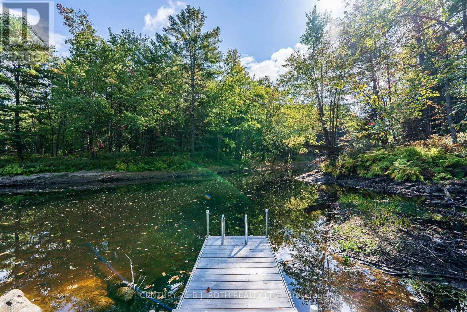 8101 KINGS RIVER ROAD