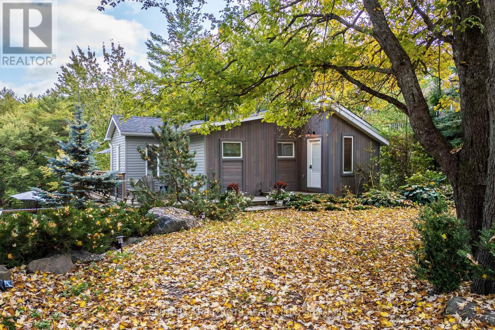 8101 KINGS RIVER ROAD