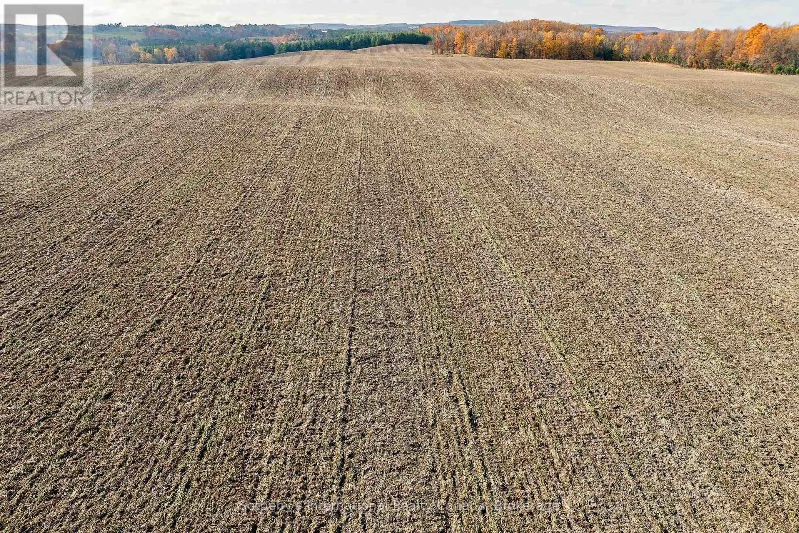 1148 CONCESSION 6 SOUTH NOTTAWASAGA