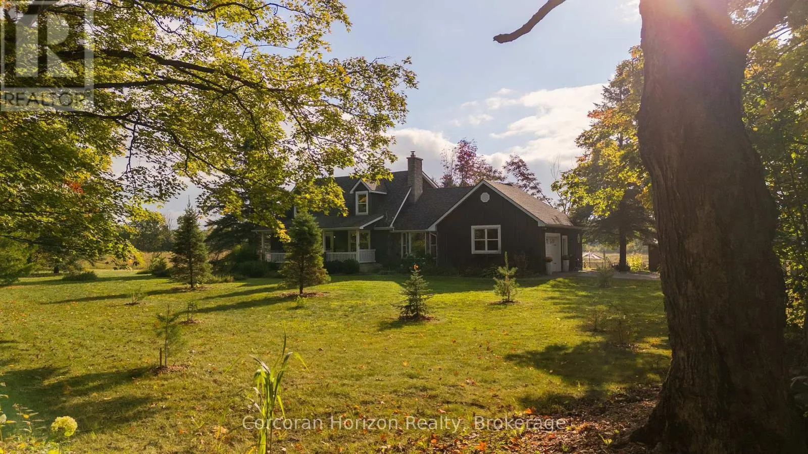 707 PETER STREET W