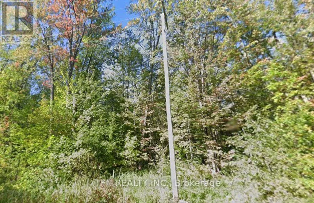 3676 SIDEROAD 20 ROAD