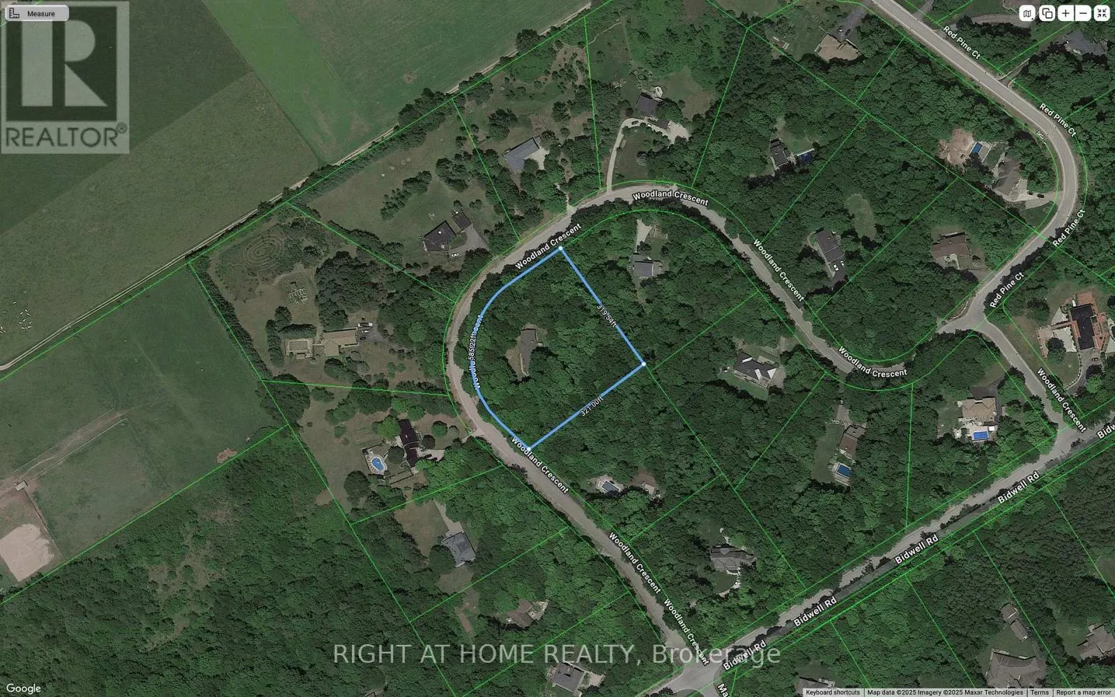11 WOODLAND CRESCENT
