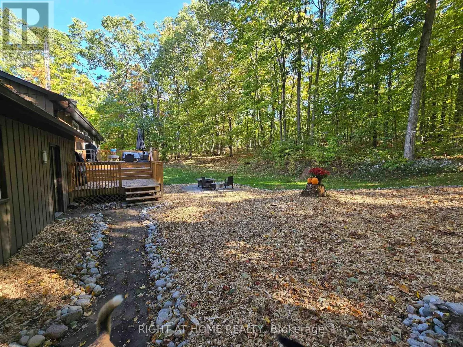 11 WOODLAND CRESCENT
