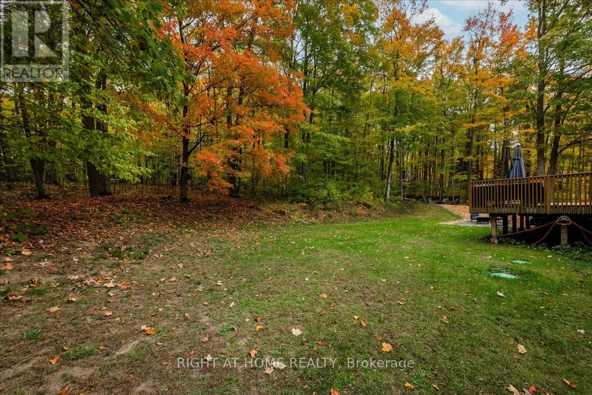 11 WOODLAND CRESCENT