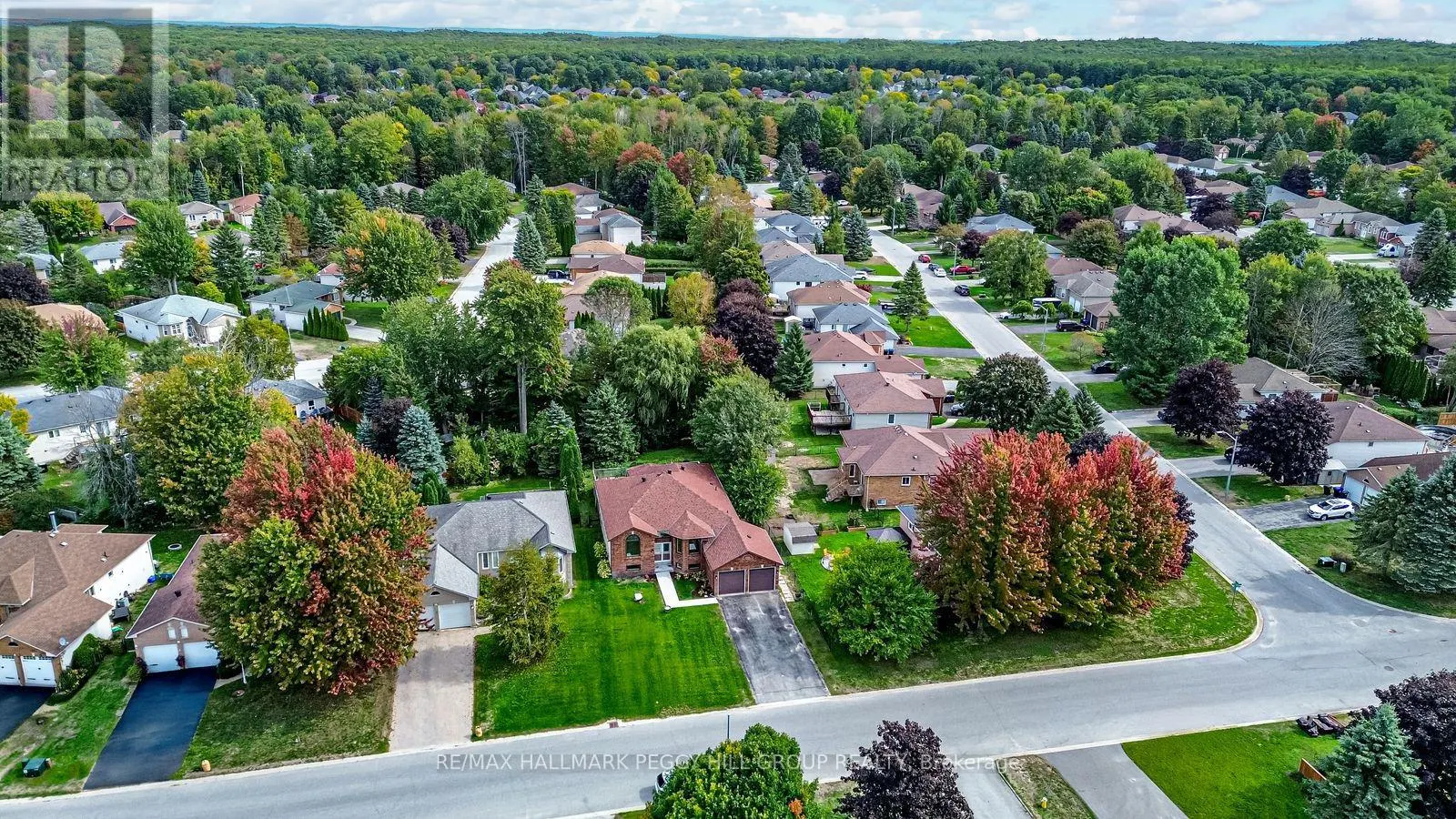 29 SILVER BIRCH AVENUE