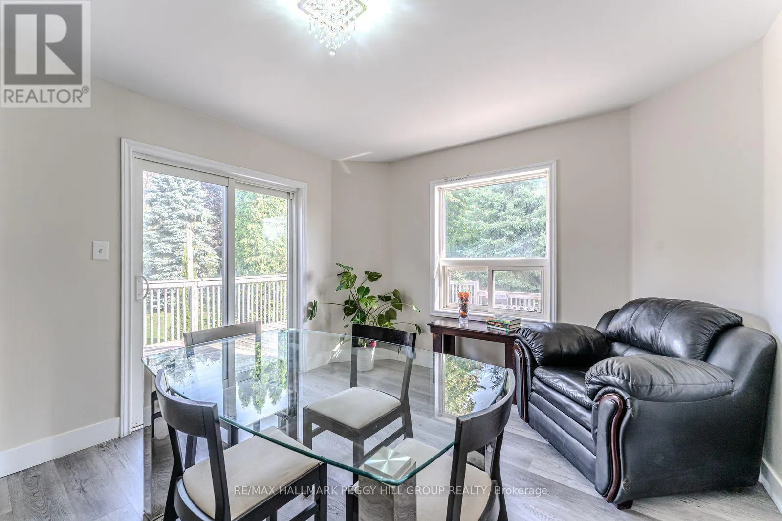 29 SILVER BIRCH AVENUE
