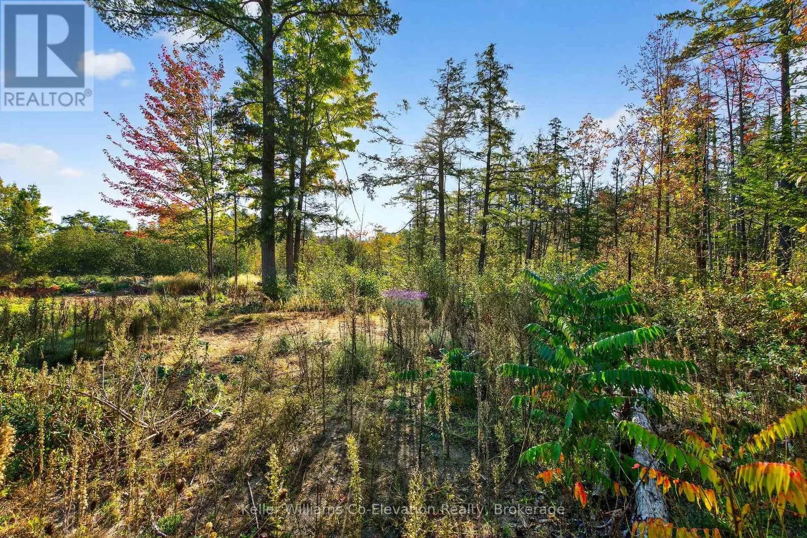 556 CHAMPLAIN ROAD