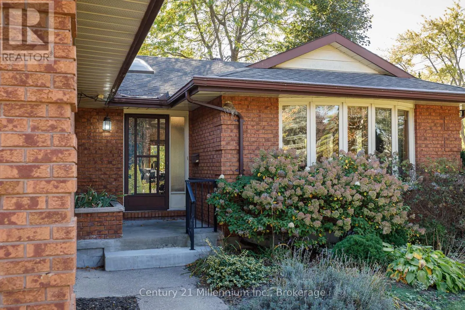 213 JANE STREET