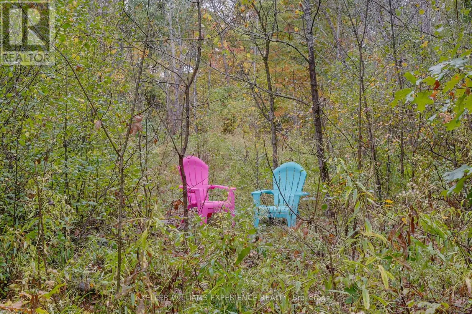 2372 KINNEAR SIDE ROAD