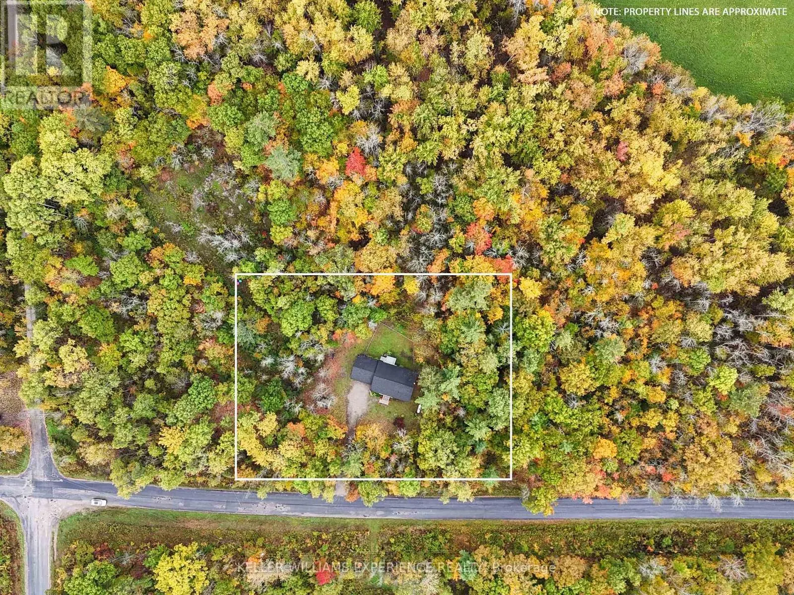 2372 KINNEAR SIDE ROAD