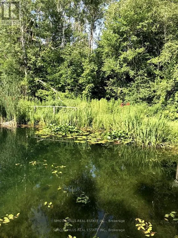 185 MEDONTE SIDEROAD 2 ROAD