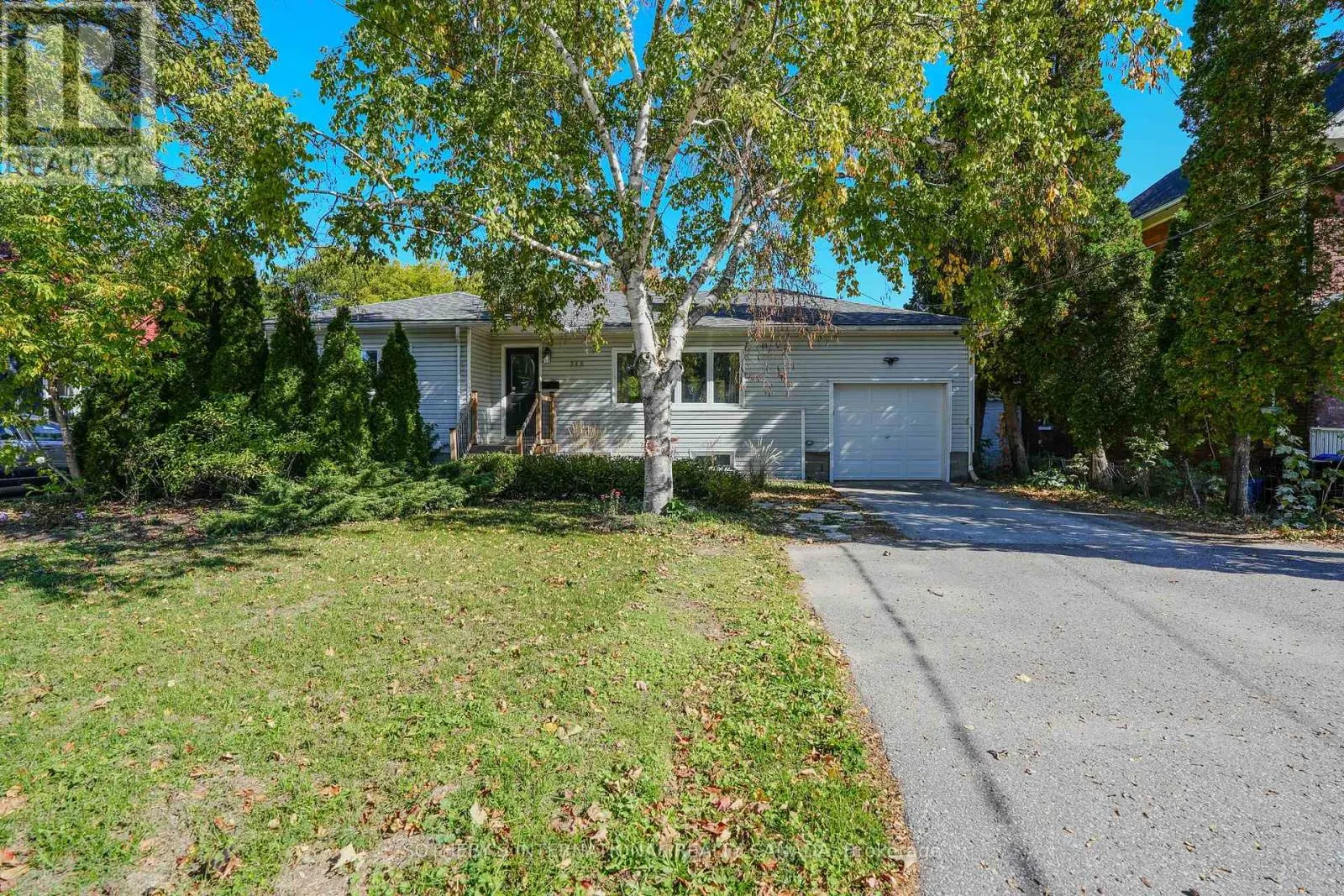 345 NAPIER STREET