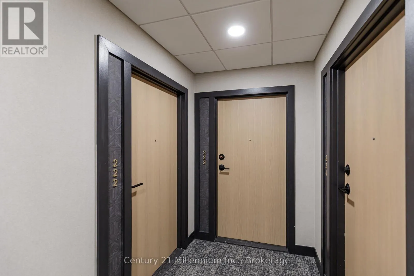 223 - 31 HURON STREET, #223