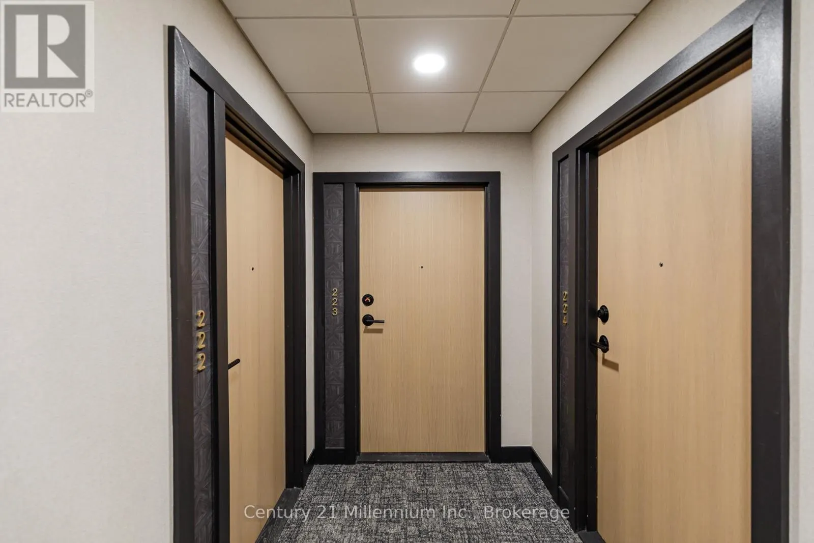 223 - 31 HURON STREET, #223