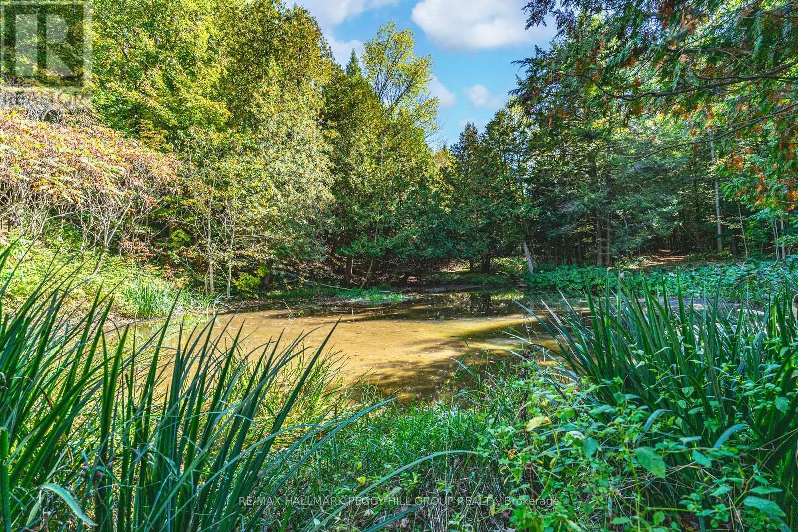 8275 COUNTY ROAD 9