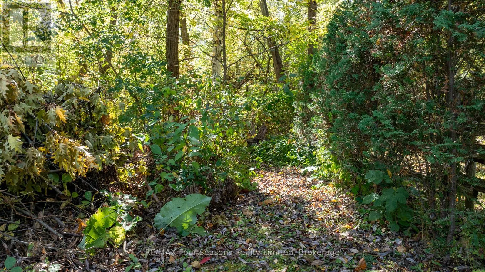 5 CADDO DRIVE