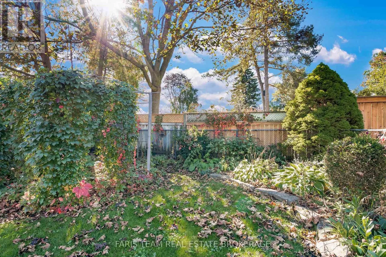 31 NAPIER STREET