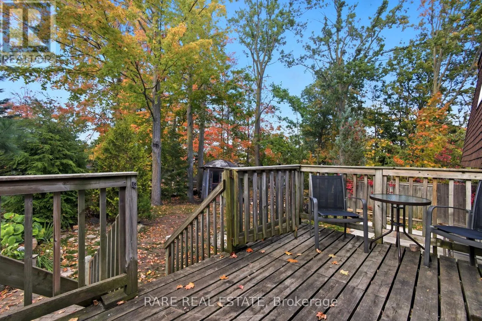 66 SPRINGDALE DRIVE