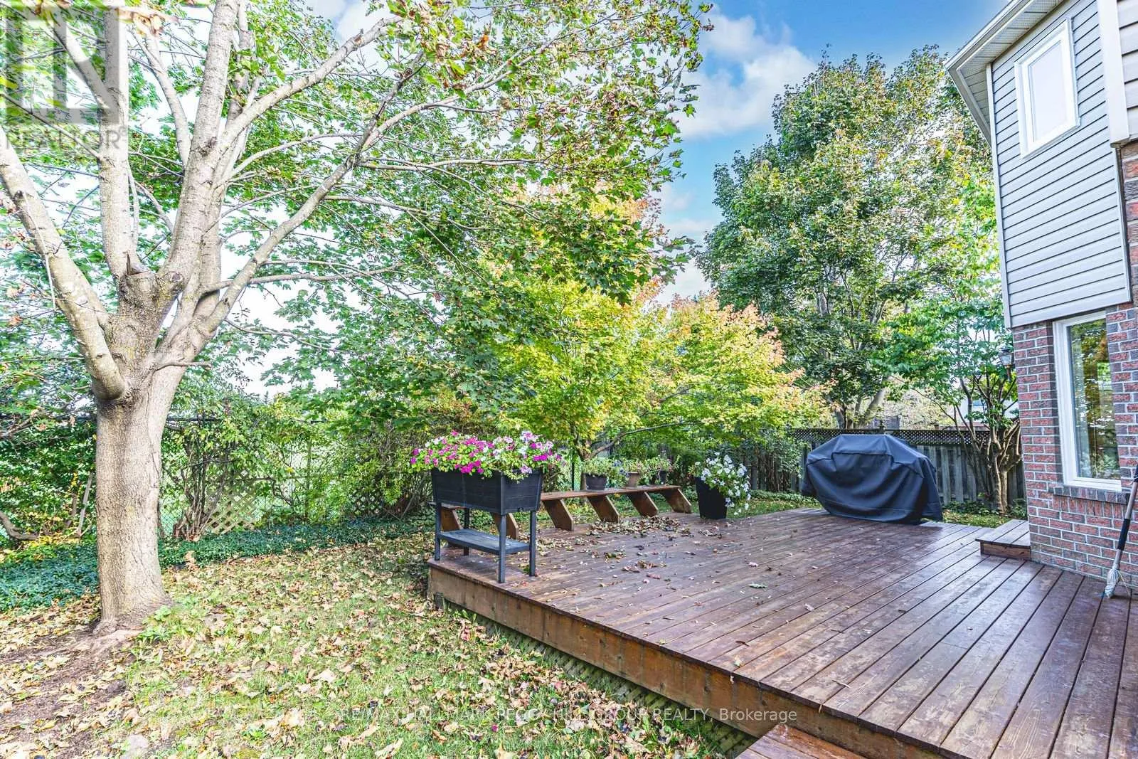 58 MCDOUGALL DRIVE