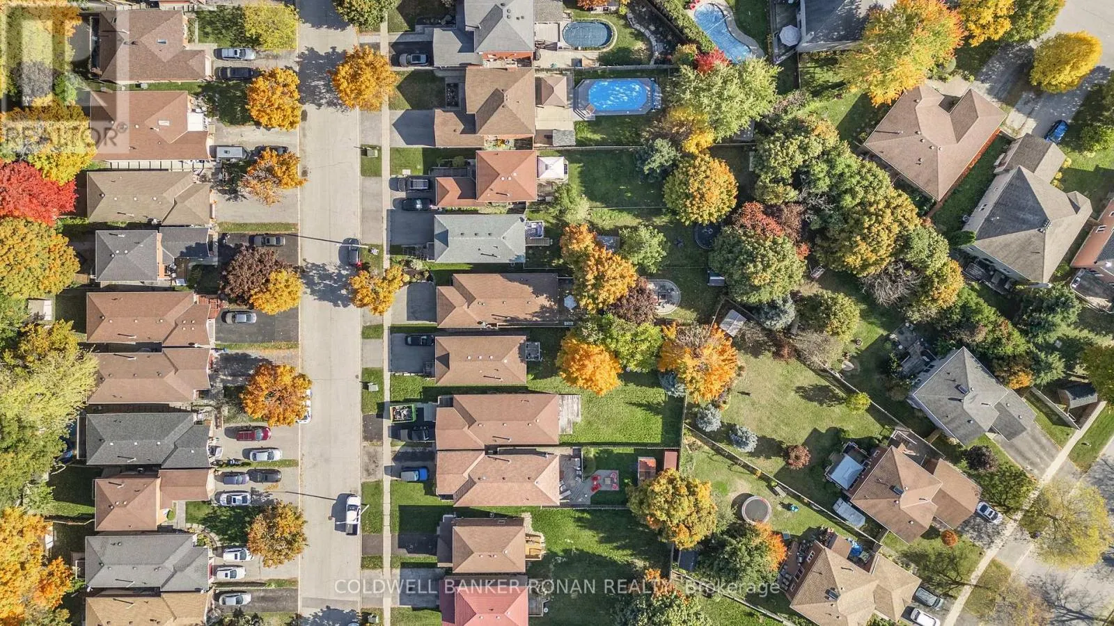 39 FERGUSON DRIVE