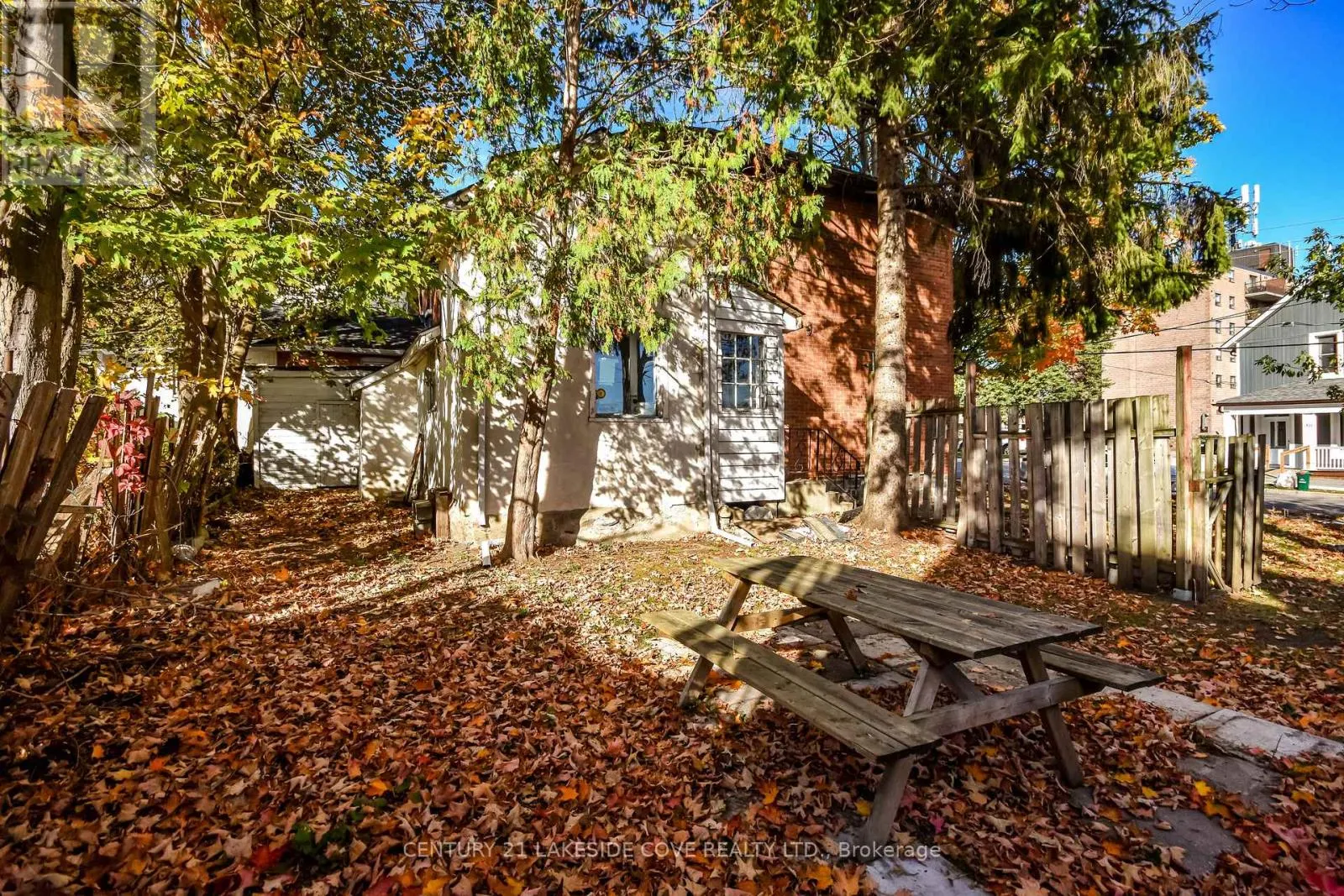 41 ALBERT STREET N