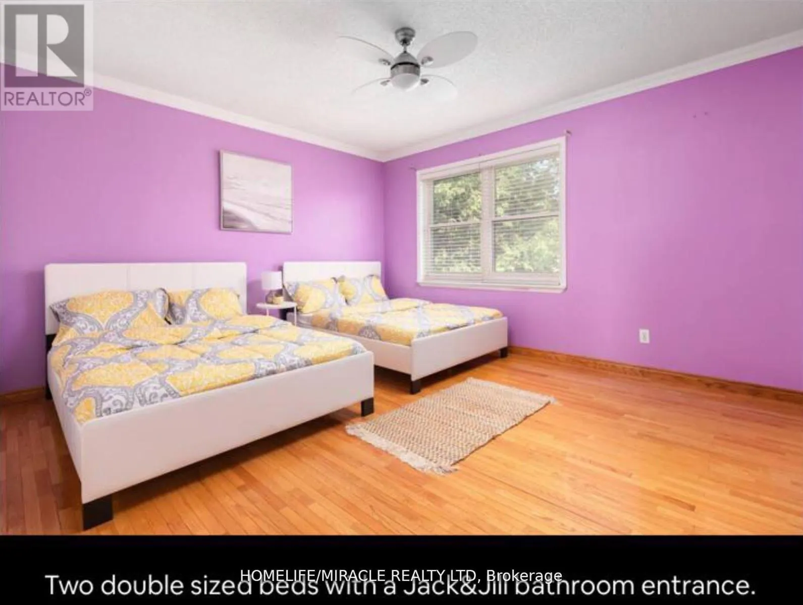 51 BECK BOULEVARD