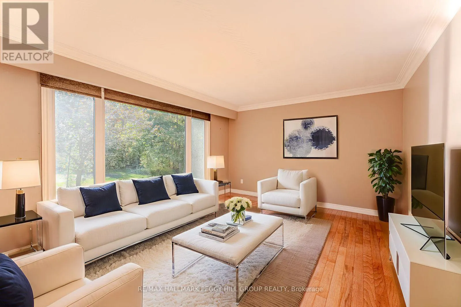 350 5 CONCESSION W