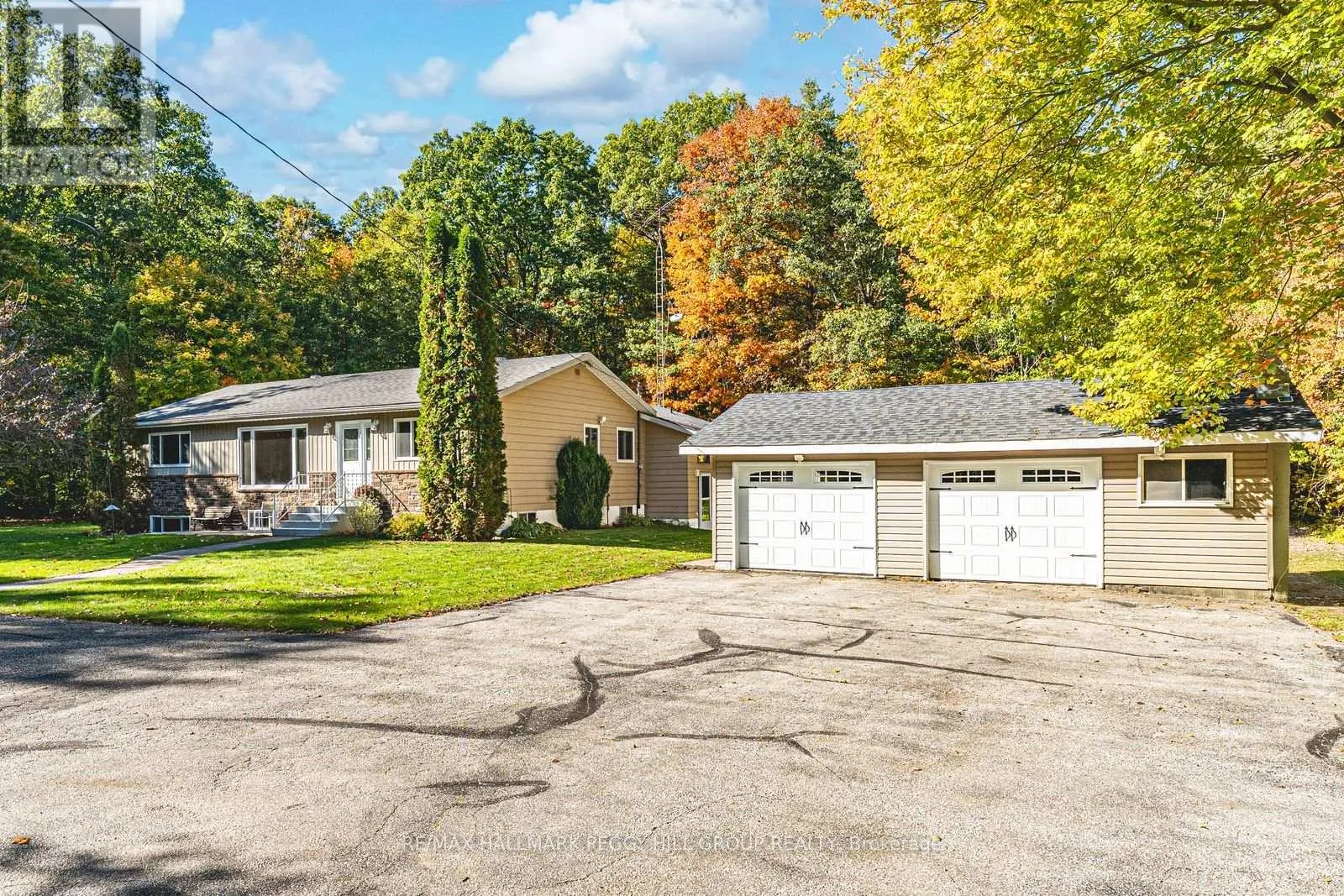 350 5 CONCESSION W