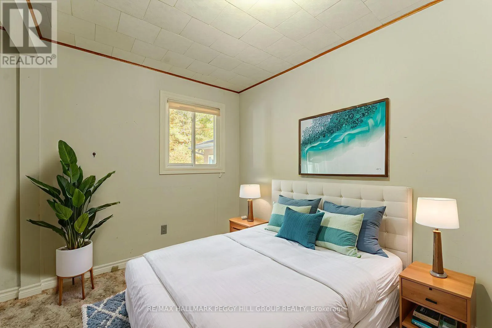 350 5 CONCESSION W