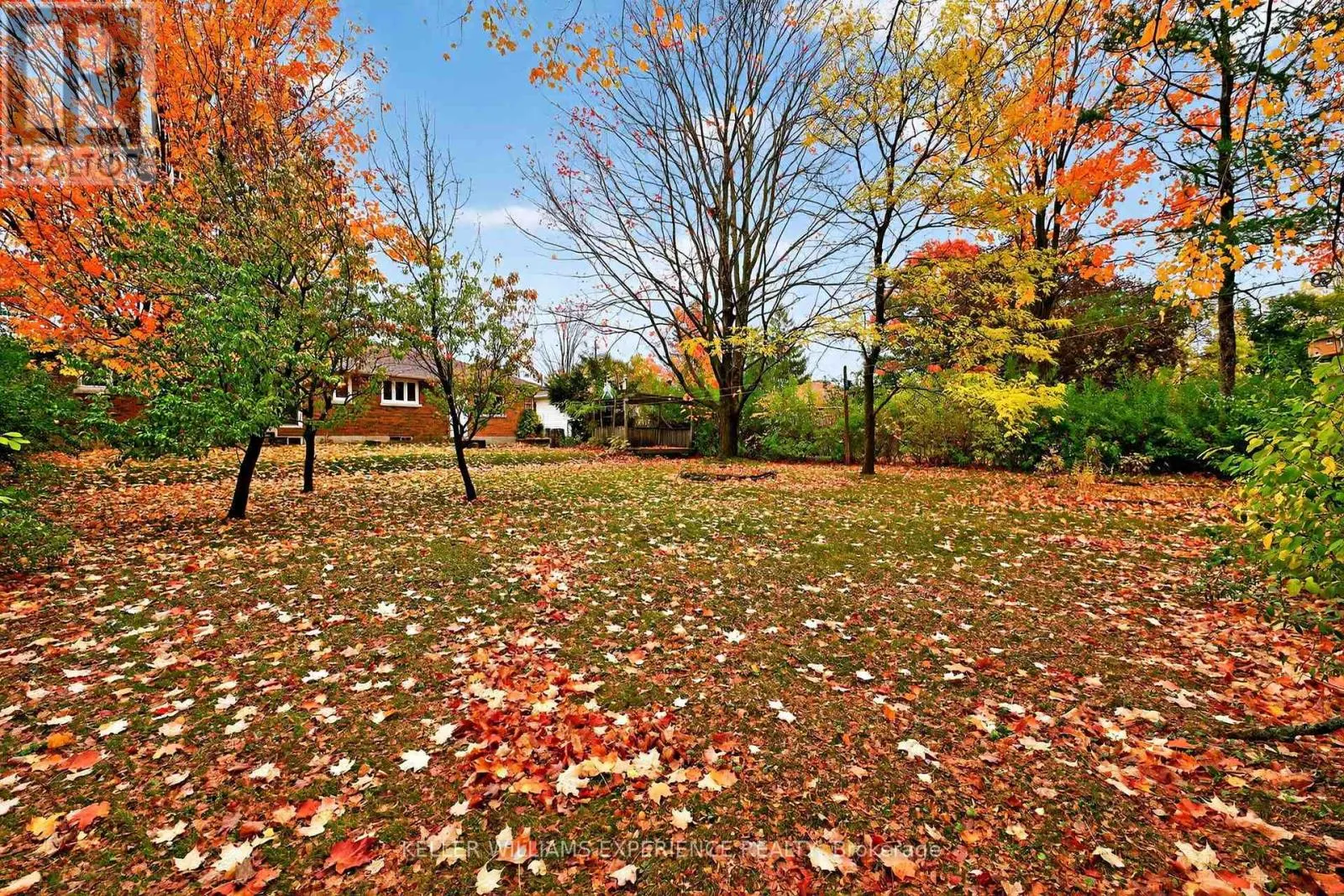 229 WARNICA ROAD