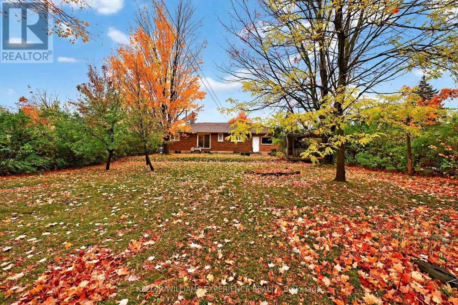 229 WARNICA ROAD