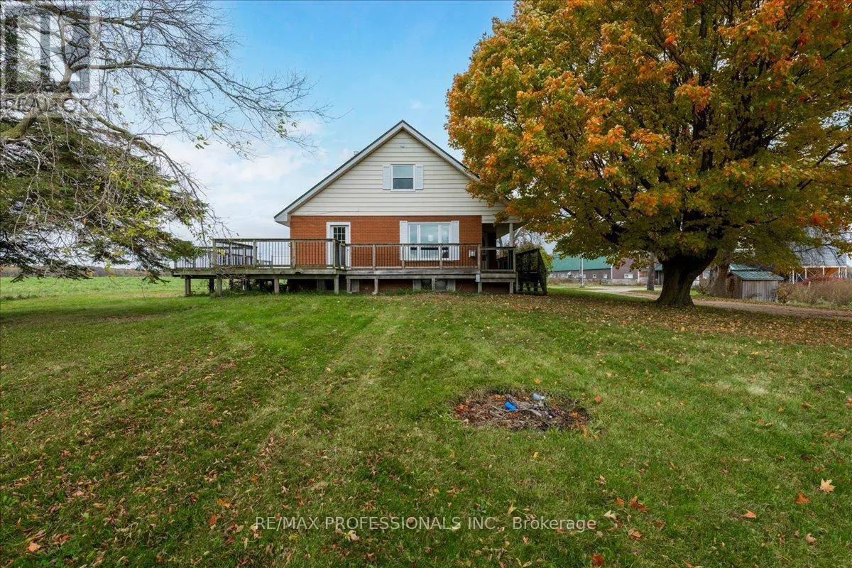 100 TINY FLOS TOWNLINE
