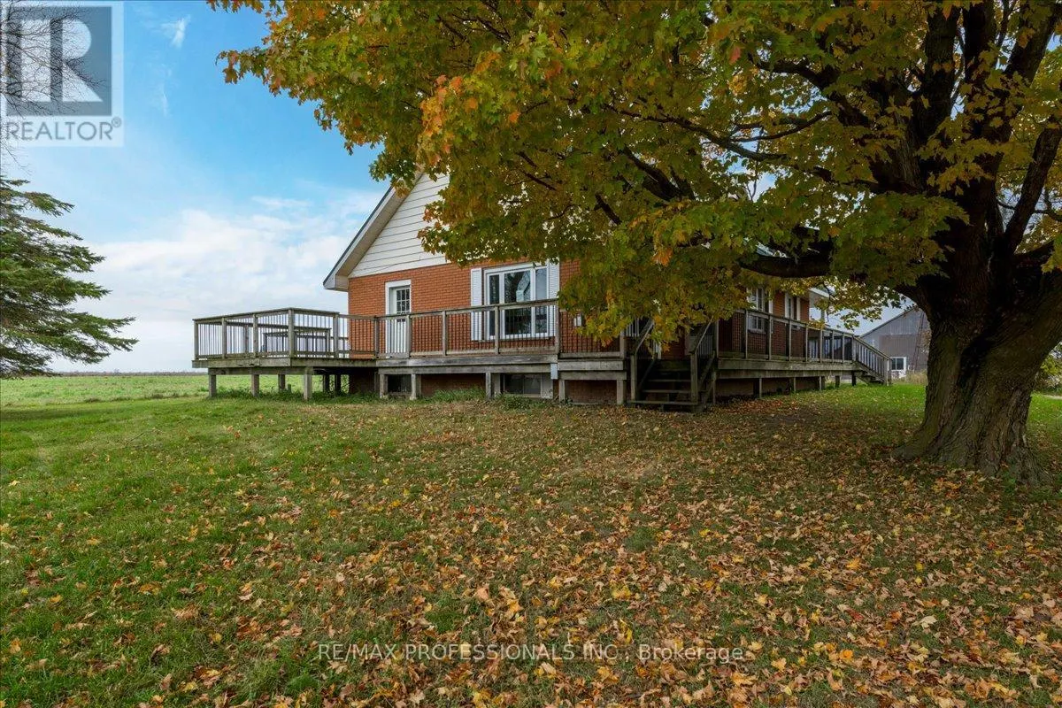 100 TINY FLOS TOWNLINE